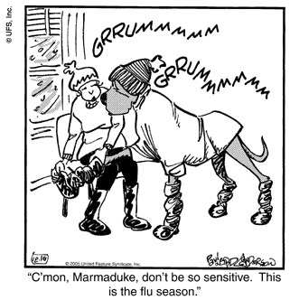 marmaduke